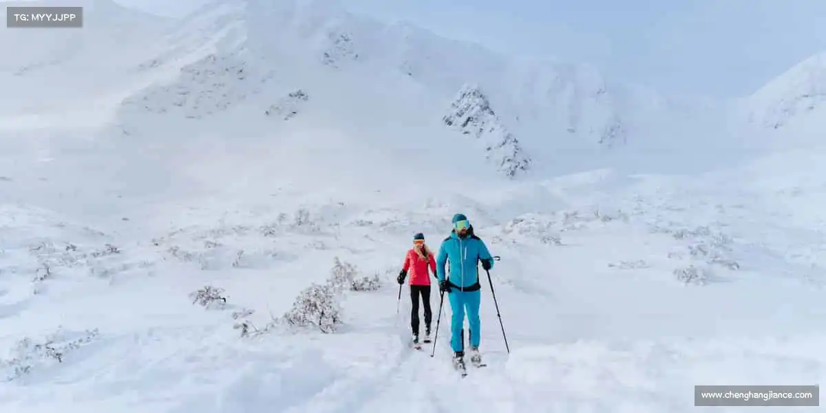我们的核心竞争力